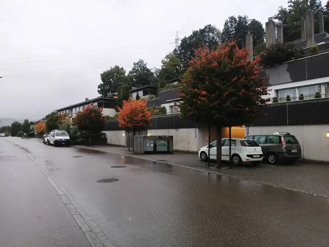 Strasse in Zuerich mit Blick auf eine Häuserreihe. Im Vordergrund sind Parkplätze mit frisch geschnittenen Bäumen.